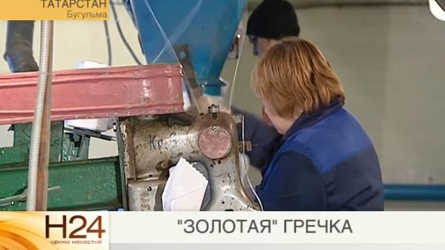 «ЗОЛОТАЯ» ГРЕЧКА смотреть онлайн