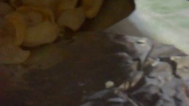 Всеядный Котэ Cat eating a chips смотреть онлайн