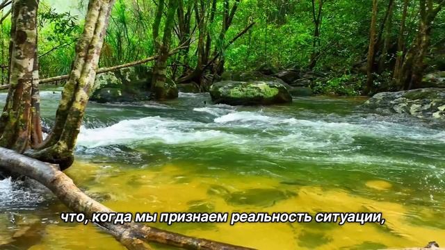 "Сосредоточиться на себе". 24 декабря. Мужество меняться. Ежедневник для созависимых. смотреть онлайн