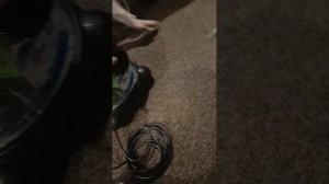 Моющий Пылесос Arnica Hydra бытовой мощный 2400 Ватт c контейнером цвет зеленый