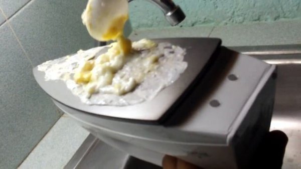 Iron Chef World Champion