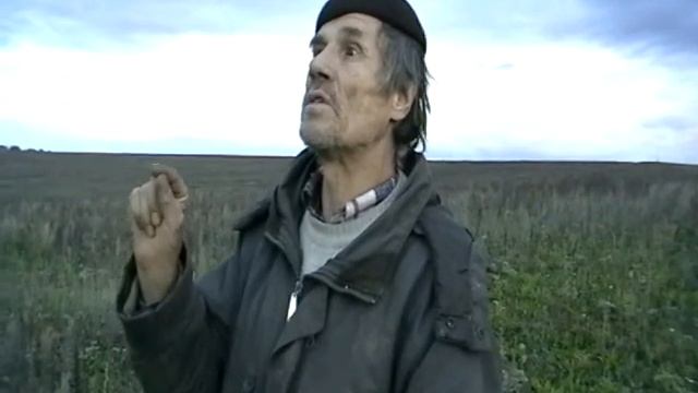Сорокопут и два орла с птенчиками! смотреть онлайн