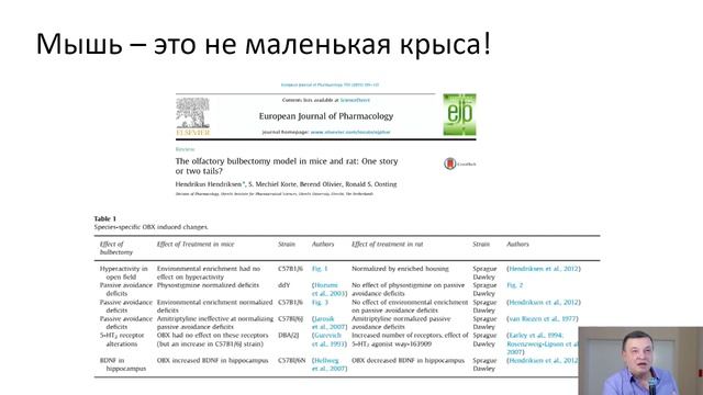 Михаил Степаничев. Экспериментальное моделирование в нейробиологии и биомедицинских исследованиях смотреть онлайн