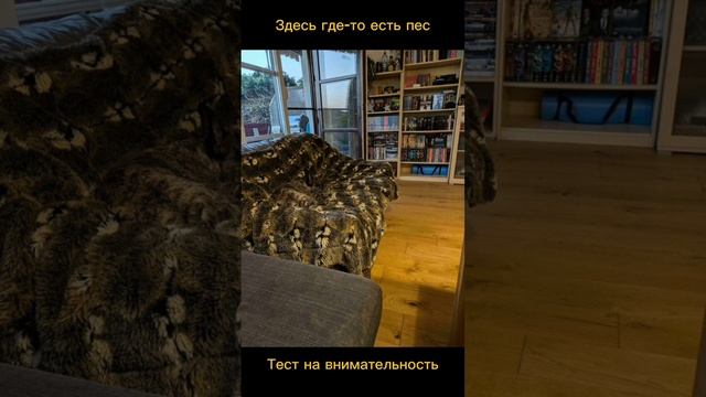 Тест на внимательность смотреть онлайн