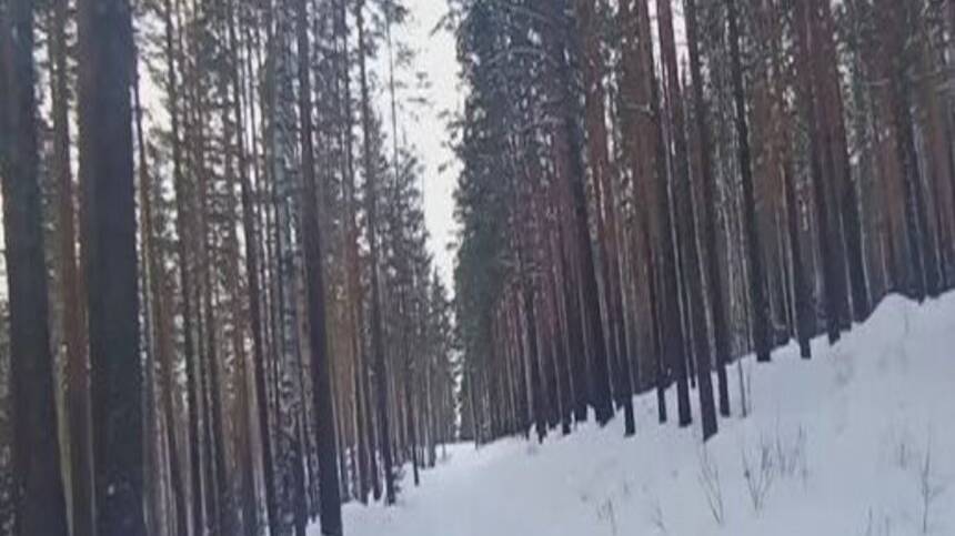 Влог, сходил на гору камушек (18+)ОПАСНО смотреть онлайн