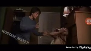 ГАРРИ ПОТЕР И ДОБИ