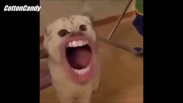 MIX *** Бать, тебе нормально ? Нормально ! смотреть онлайн