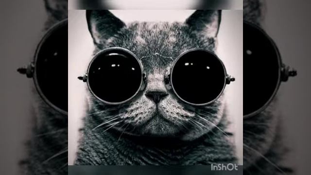 Музыка 2019(СОМБРЕРО)