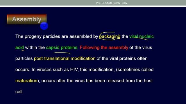 Viral replication P2 смотреть онлайн