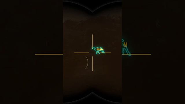 308 Догоняй их The hunter call of the wild, Лучшее, Shorts смотреть онлайн