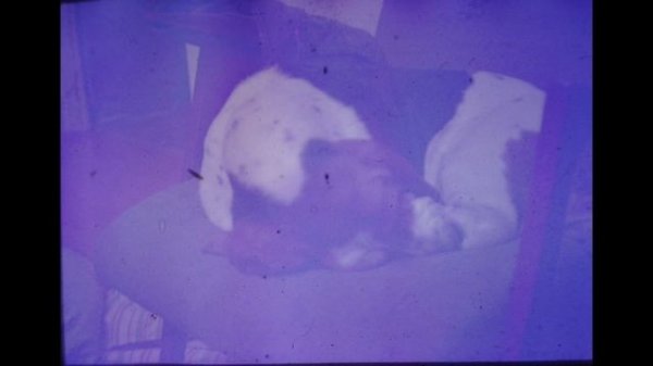 Пленка каторая закончилась...  https://cloud.mail.ru/public/MCLf/sWQdf5jXS