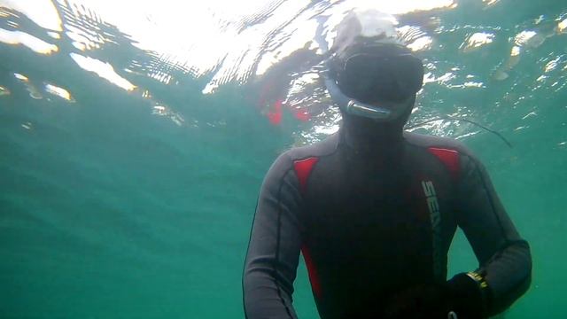 мыряние смотреть онлайн