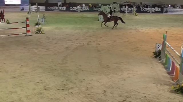 HBR Radio Saint Clair (ROBIN II Z 2005) CSI2 GP Bou Thib 7th PLACED WORLD RANKING POINTS смотреть онлайн