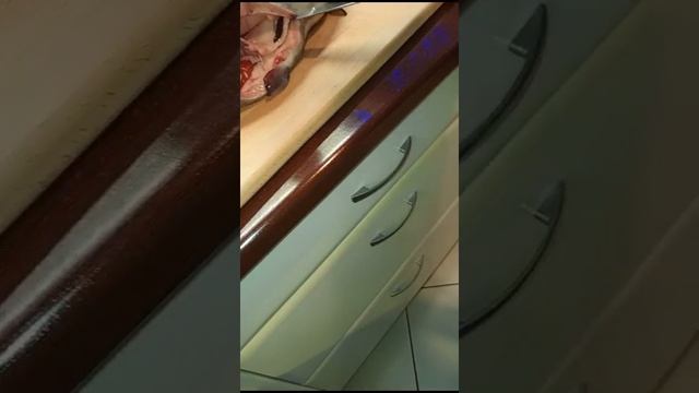 Форель с сюрпризом