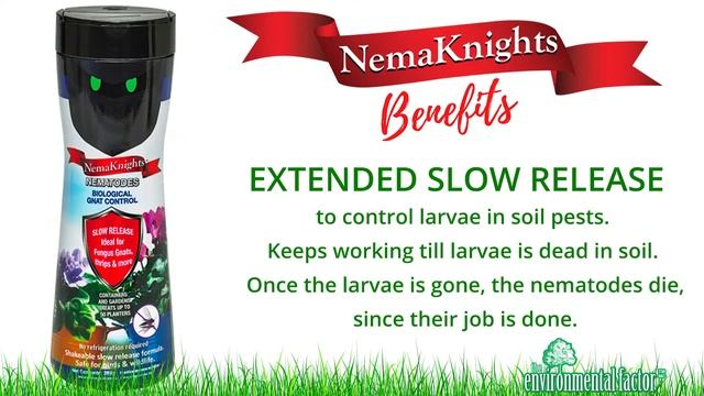 The Benefits Of Our Nemaknights | The Environmental Factor смотреть онлайн