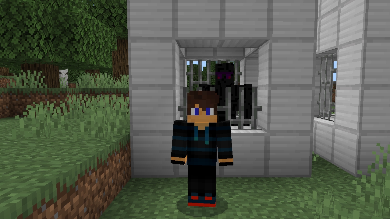 Я посодил этова голема за решетку 9 серия финал в майнкрафт