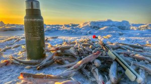 РЕКОРД ПОБИТ! Отличный клев корюшки на Финском заливе | Зимняя рыбалка 2024