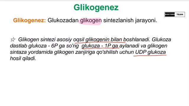 Glikogenez & Glikogenoliz смотреть онлайн
