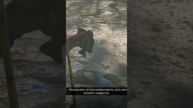 322 Мелкий как ты Red dead redemption 2, Лучшее, Shorts смотреть онлайн