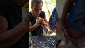 голые девушки