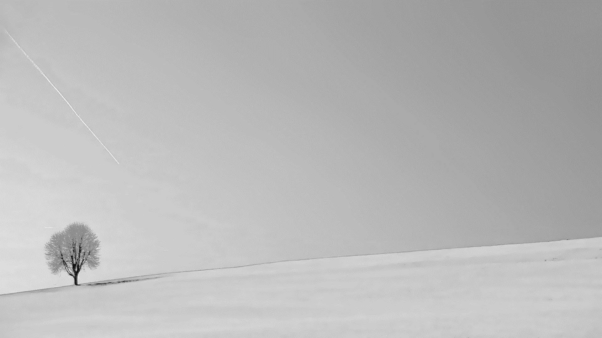 белый шум смотреть онлайн