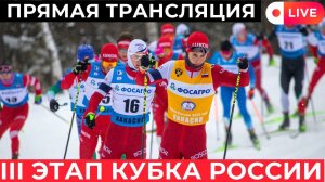 Лыжные гонки. Прямая трансляция. 3 Этап Кубка России. 15 км. Мужчины