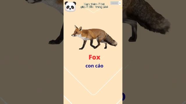 #shots Tên các loài vật trong Tiếng Anh phần 3 смотреть онлайн