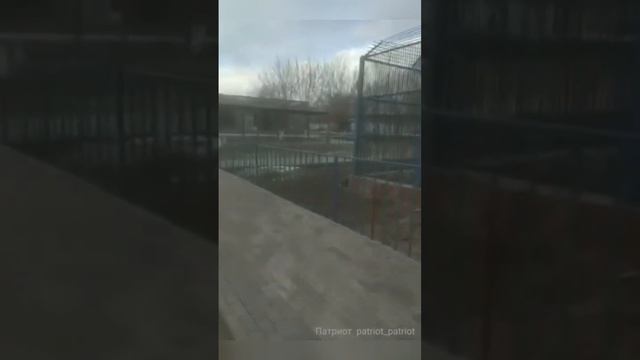 Медведь в зоопарке Караганды смотреть онлайн