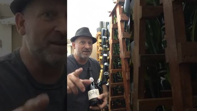 Curso de produção de vinhos e Espumantes artesanais com professor particular смотреть онлайн