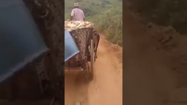 Saudades do meu tempo da Roca,que ficou np coração смотреть онлайн