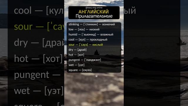 ⚠️ АНГЛИЙСКИЙ ДЛЯ НАЧИНАЮЩИХ ВЗРОСЛЫХ | 📌 Уроки английского языка онлайн бесплатно смотреть онлайн