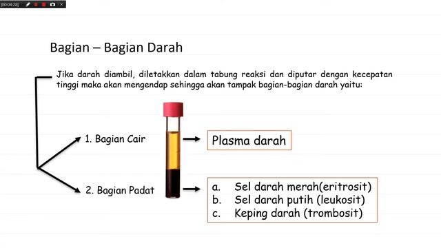 Biokimia Kebidanan : Darah смотреть онлайн
