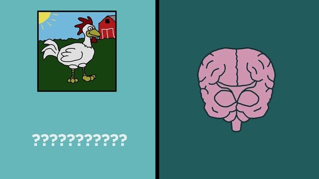 Do You Have Free Will? (Hint: Not Really) | Answers With Joe