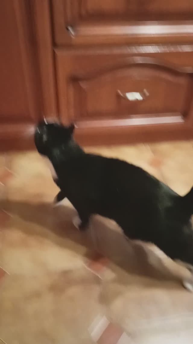 Бося гурман смотреть онлайн