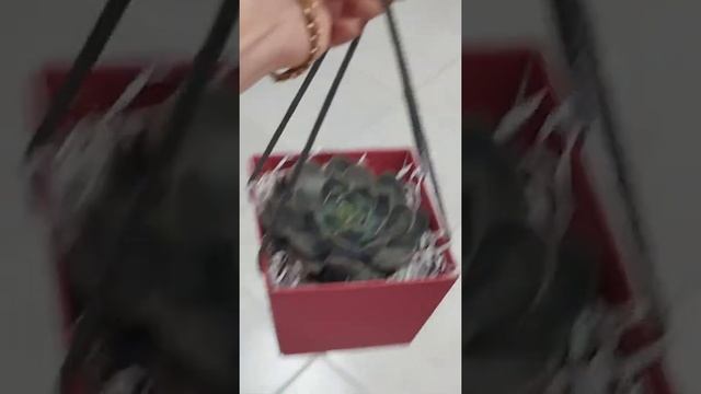 Цветы Симферополь - Студия флористики Anna Melani смотреть онлайн