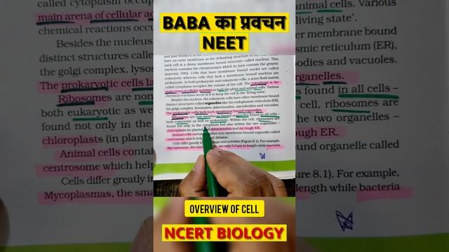 OVERVIEW OF CELL ● Baba का प्रवचन 172 ■ NEET 2023 ● Dr Hariom Gangwar смотреть онлайн