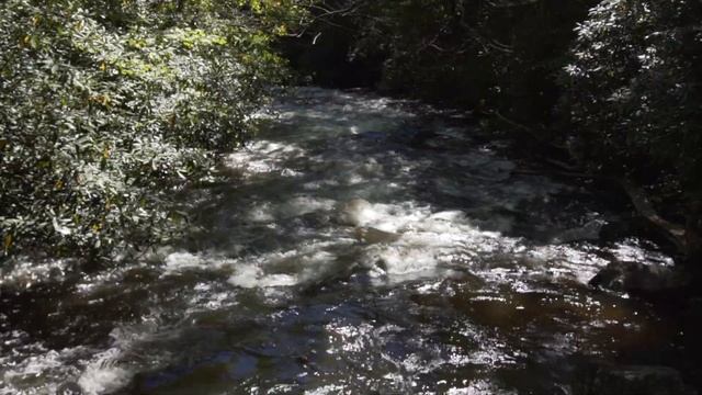 SOLO TRUCK CAMPING | THE TRIP (Ep.4) — Cherokee National Forest & High Falls State Park смотреть онлайн