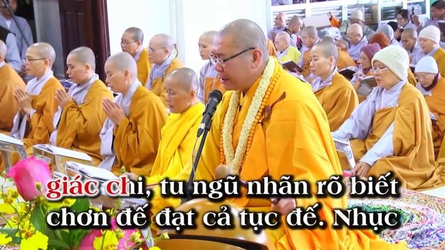 Kinh Vô Lượng Thọ- Hoà Thượng Thích Trí Thoát tụng.mp4 смотреть онлайн