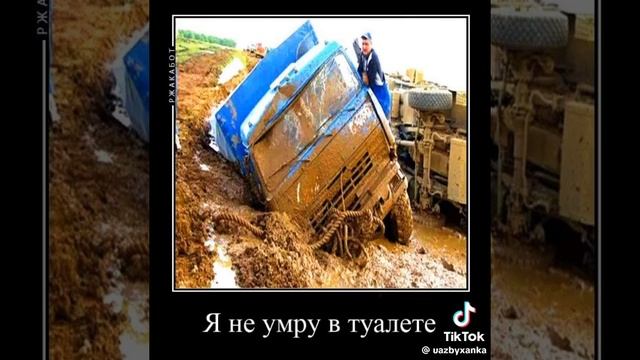 1000022806.mp4 смотреть онлайн