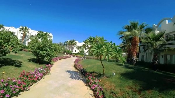 ДОРОГОЙ Swissotel Sharm El Sheikh 5* ЧТО ЗДЕСЬ? Бухта Наама Бей Знакомство с отелем