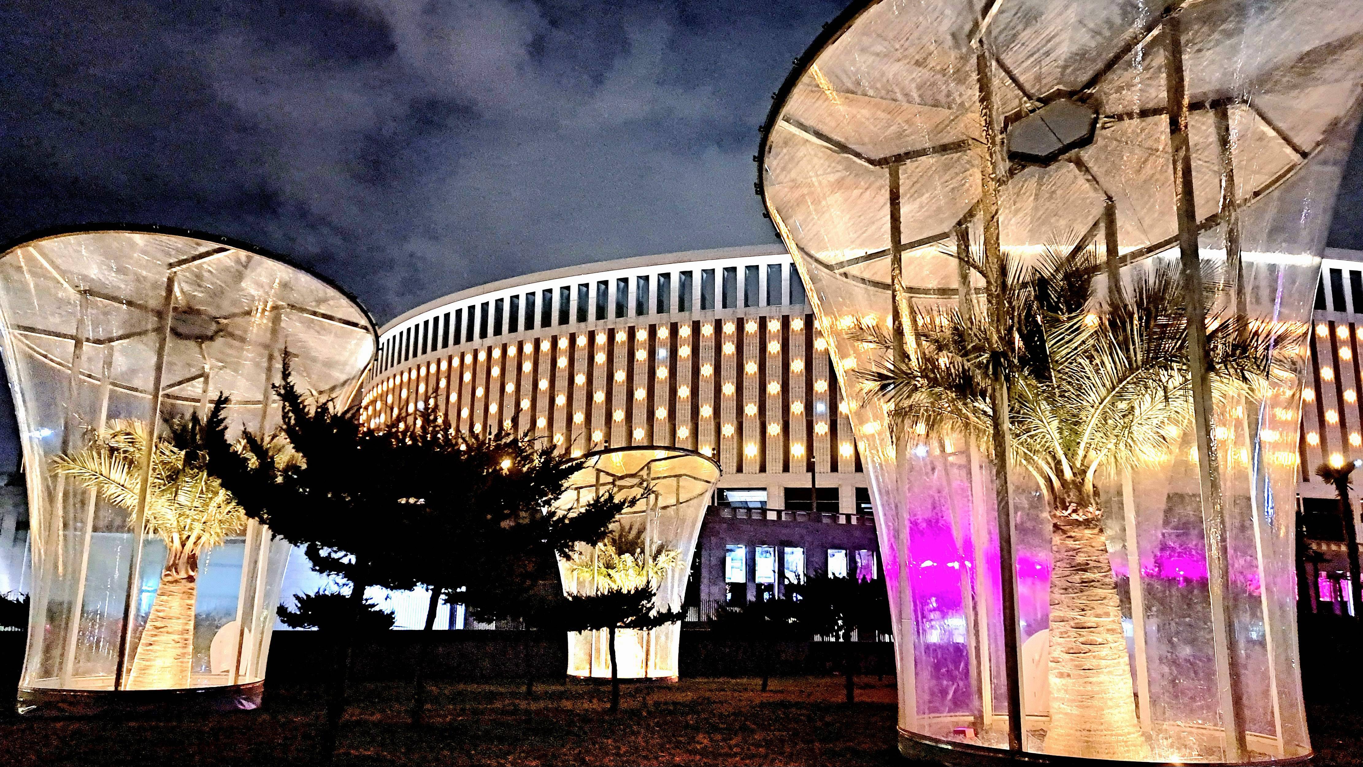 Зимний вечер в Парке Галицкого (Краснодар) смотреть онлайн