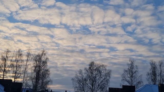 Волшебница Изольда. Стихи. Читает автор. смотреть онлайн