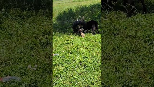 После чудес