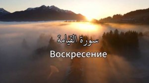Сура 75. Аль-Кыяма/ Воскресение, со смысловым переводом. Чтец - Имад аль-Мансори