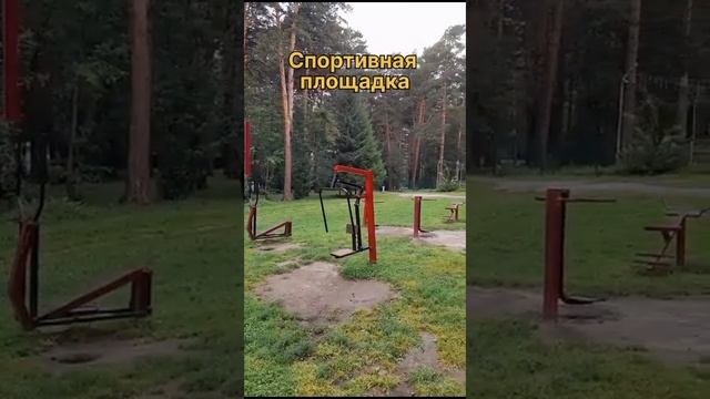 Сосновый Бор смотреть онлайн