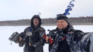 Эх хвост чешуя... Озерки. 14.12.24.