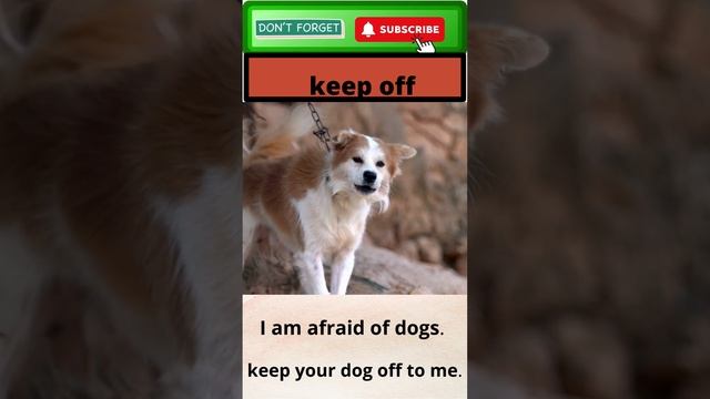 Keep off| Meaning | Phrasal verbs | Learn English | Phrasalpedia |keep off Where to use. смотреть онлайн