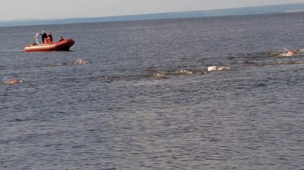 Заплыв через Волгу