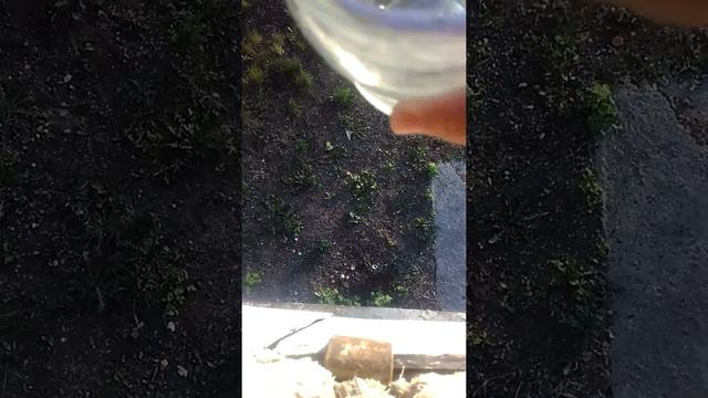 Выливают воду из банки смотреть онлайн