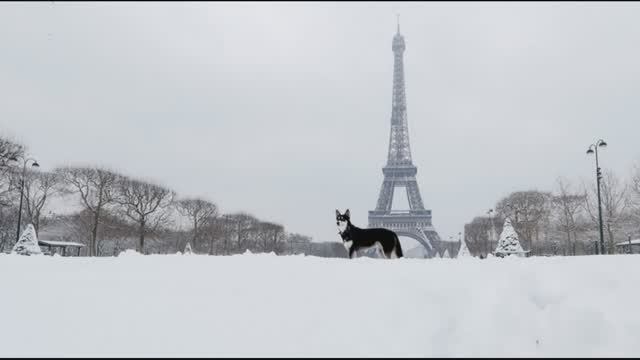 В Париж. Антон Чехов. смотреть онлайн
